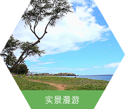 实景漫游